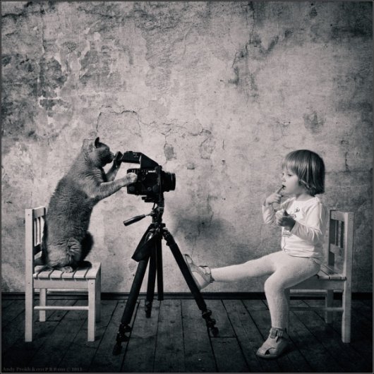 Девочка и Кот в интересном фото проекте - №15