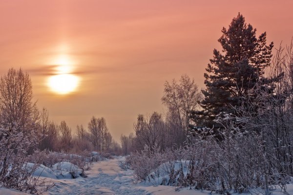 Рождественская сказка