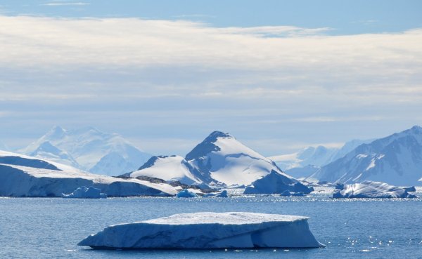 Загадочно спокойный мир Антарктиды - №11