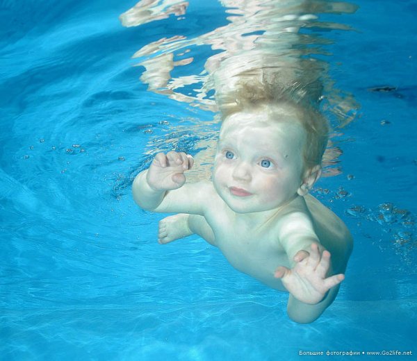 дети плавают