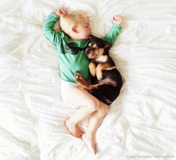 Милые дети и собачки - новый тренд Instagram - №5