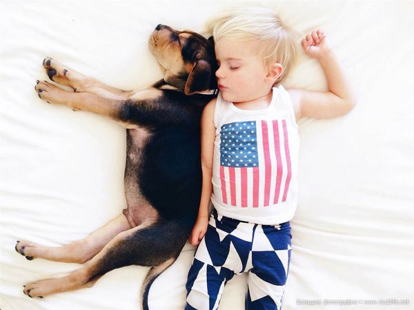 Милые дети и собачки - новый тренд Instagram - №9