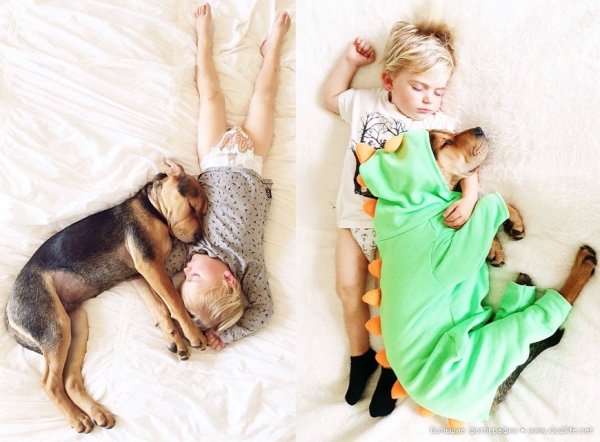 Милые дети и собачки - новый тренд Instagram - №13