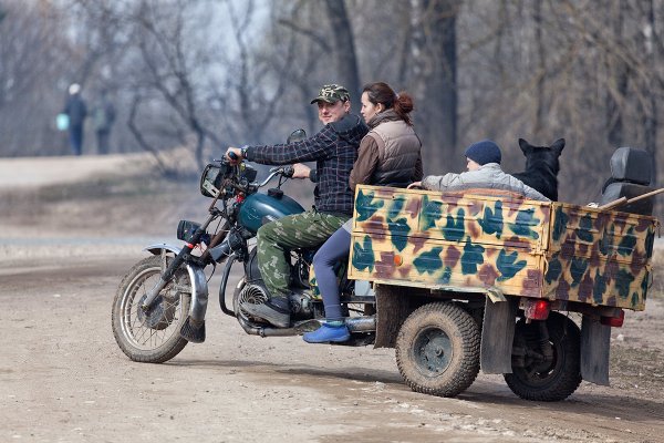 Анатолий Тимофеев