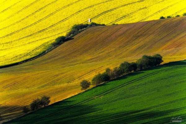 Фото пейзаж