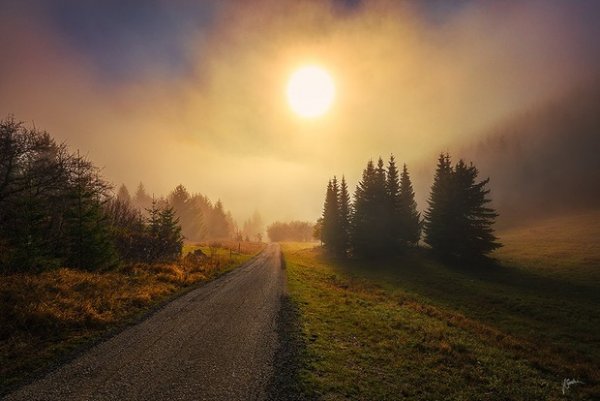 пейзажи природы фото