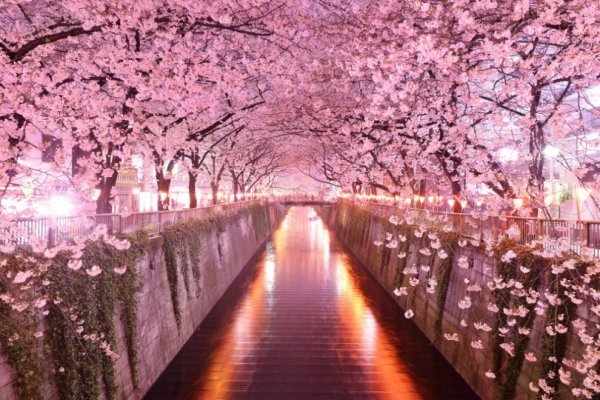 Япония красивые фото