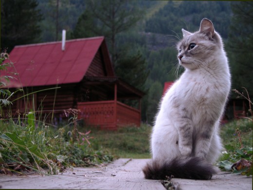 уникальные места планеты