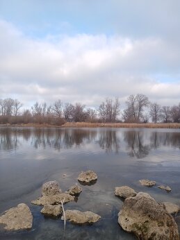 Евгений Николаев