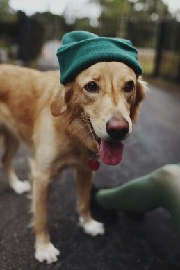 Анна 