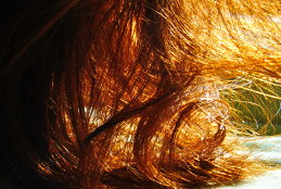 Елена Ситникова