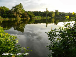 Максим Горловка