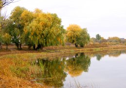 Евгения 