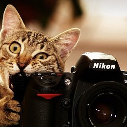 Евгений Retoucher
