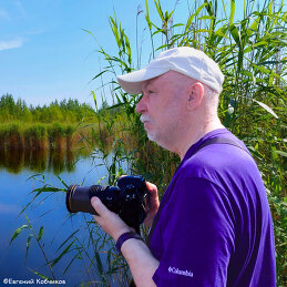 Виталий Буркалов