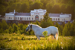 Николай Зиновьев