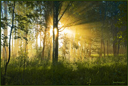 Борис Булгаков