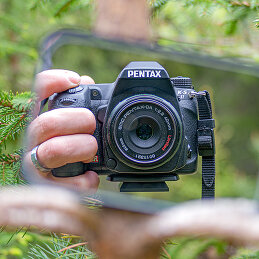 Даниил hirviphoto.art