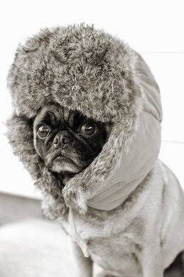 Настя 