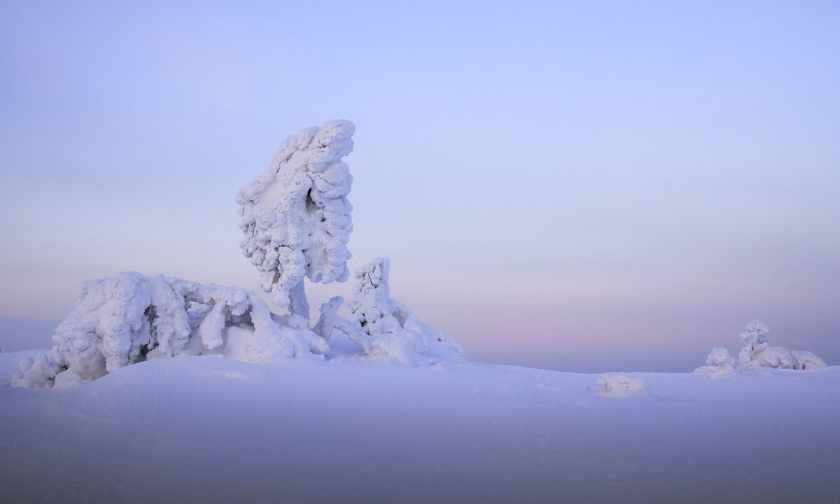 Кольский - Evgeniy 