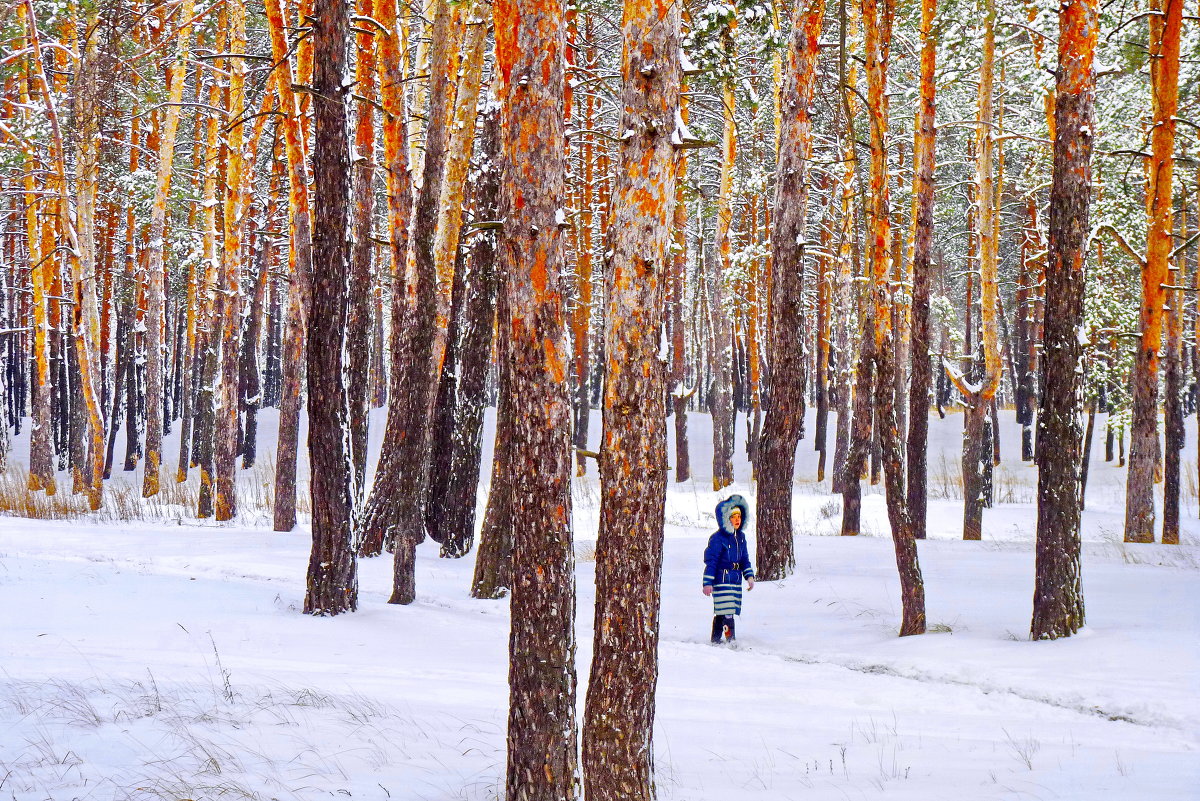 "Первое утро зимы". - Полтавский Михаил 