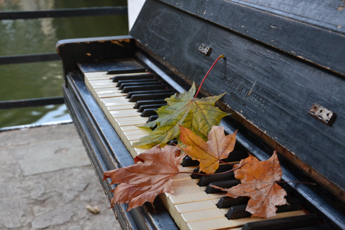 ... - Маргарита Королева