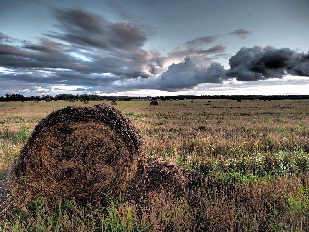 Пролетело лето... - Андрей Зайцев