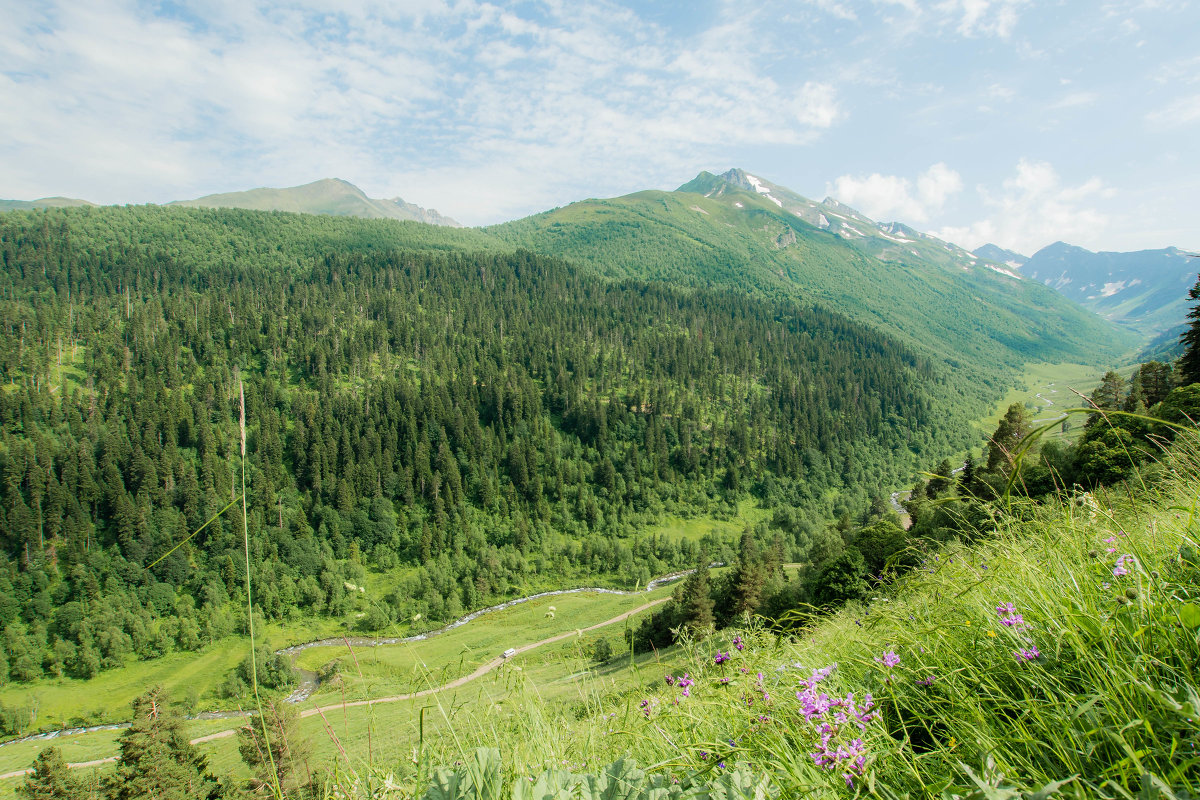 ... - Евгений 