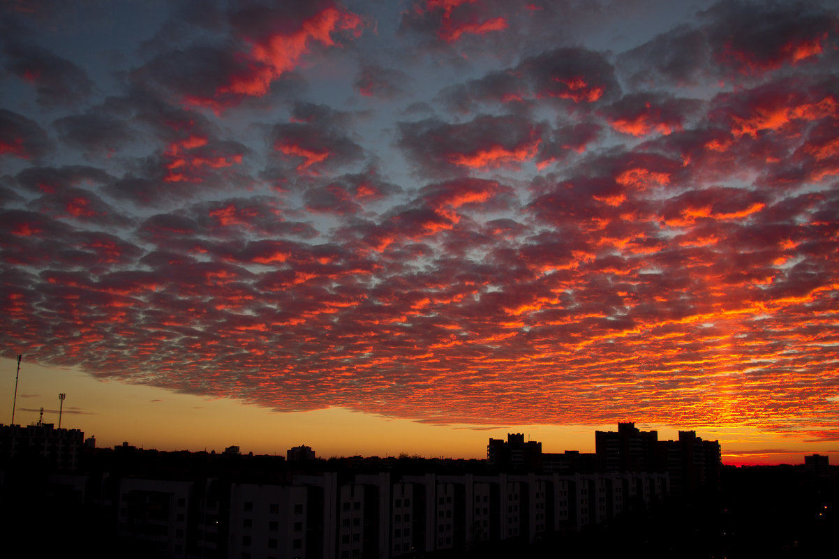 ... - Ольга Катько