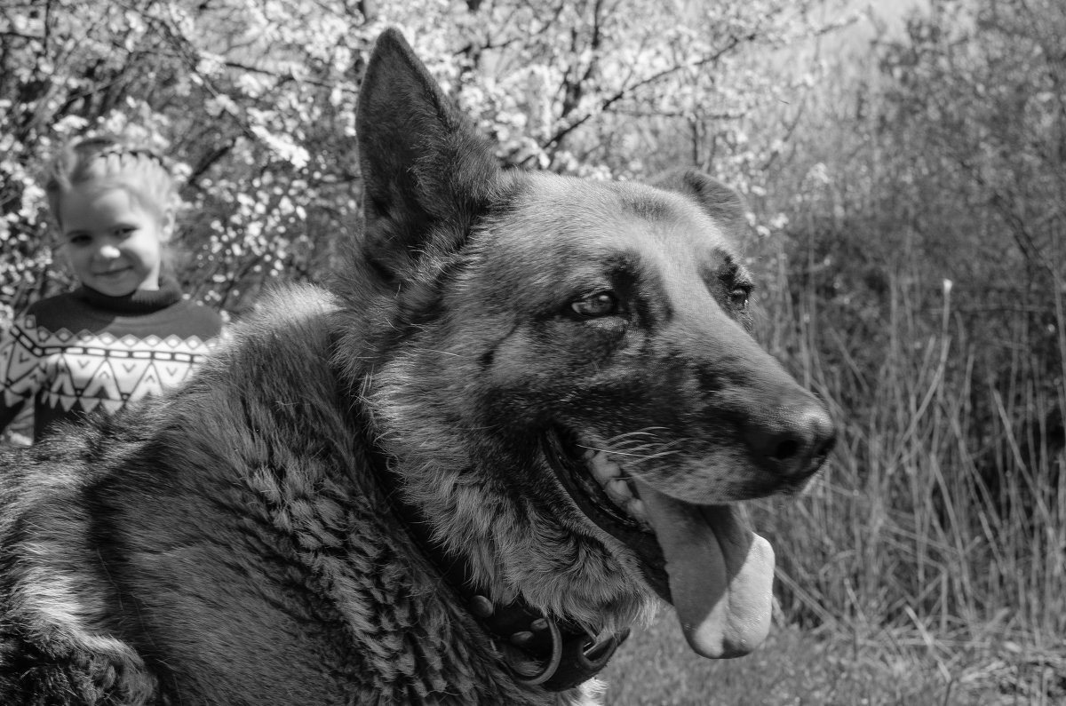 старушка Альфа - Ольга Штанько