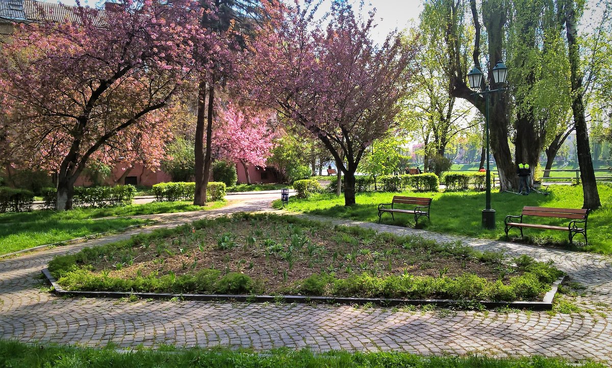 В весеннем сквере - Сергей Форос