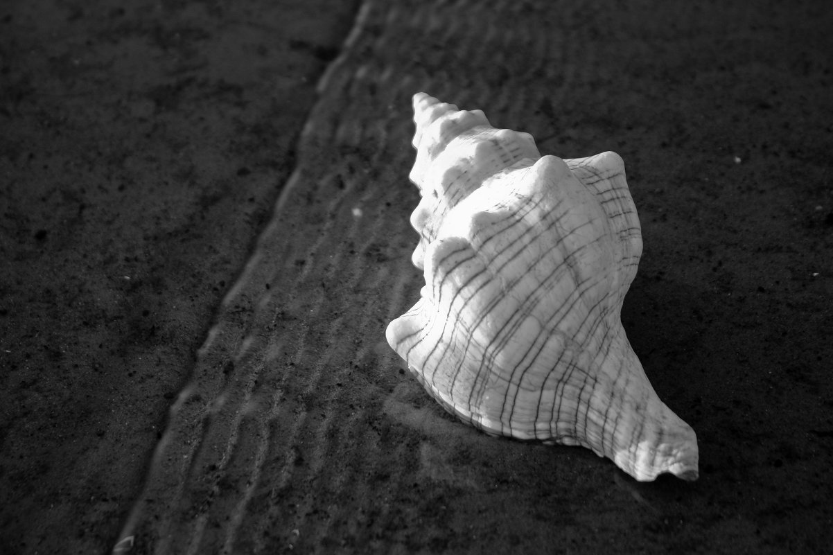 Из моря да в реку! - Марина Яковлева