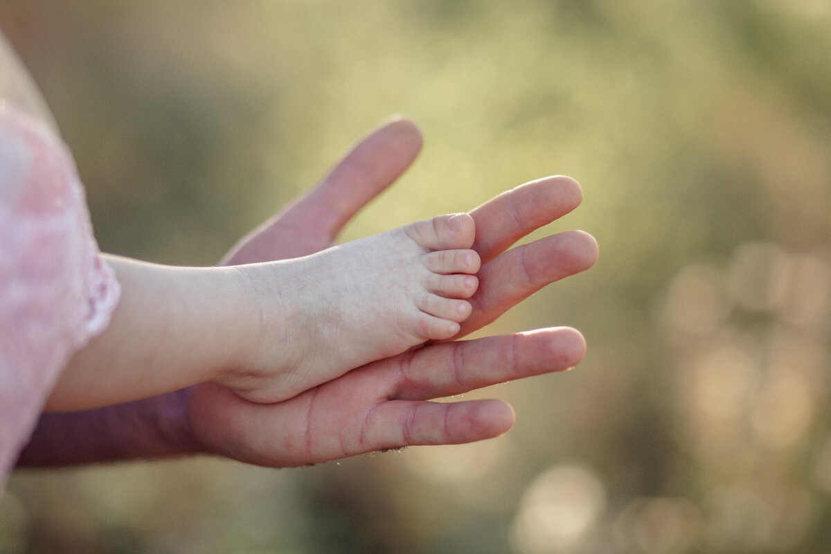 вкесь мир - Нина Зайцева