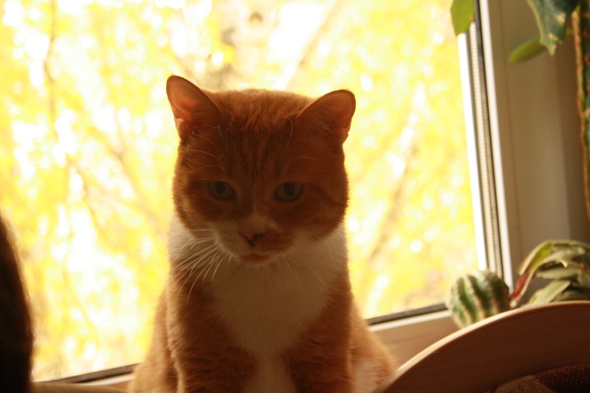 ... - Сергей ... - Сергей