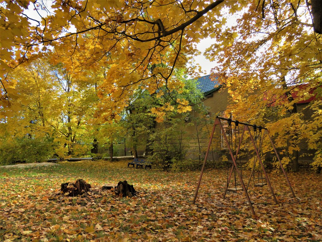 Золотая осень во дворе дома - НАТАЛЬЯ 