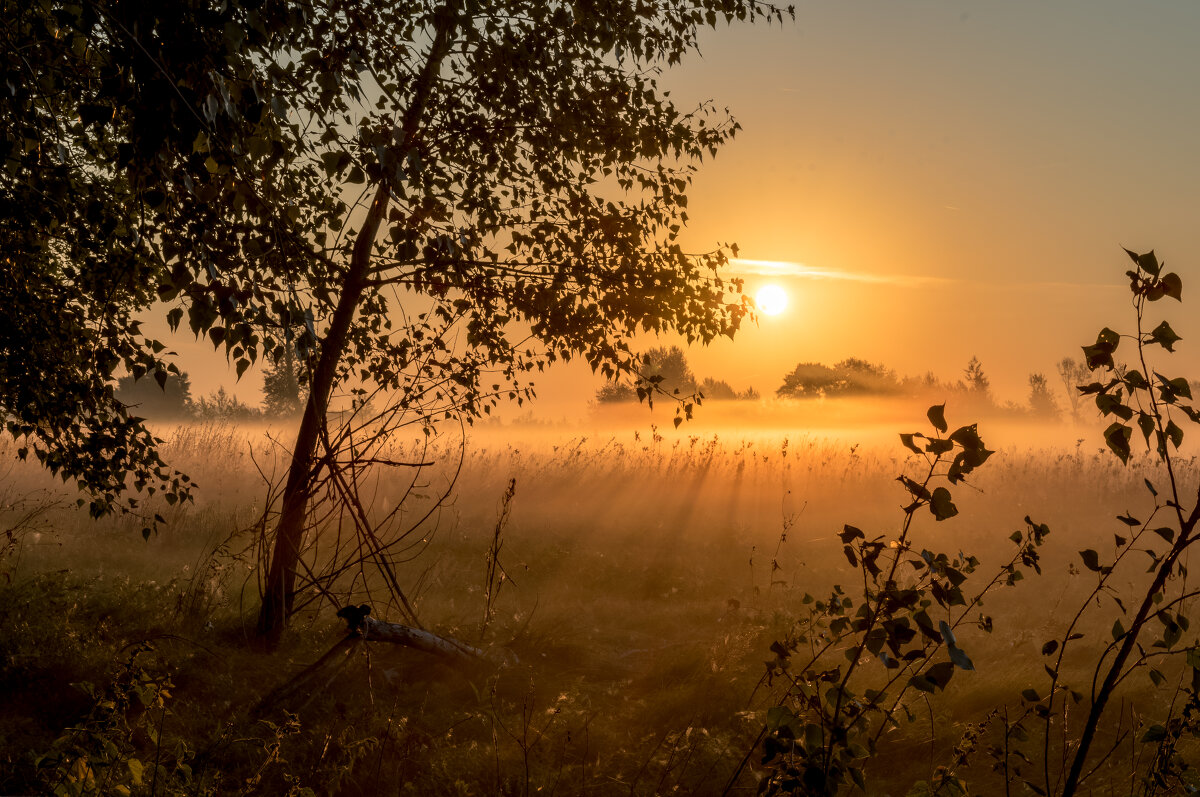 Холодный рассвет - Артем Семагин Холодный рассвет - Артем Семагин