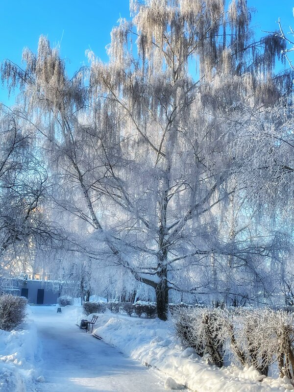 Сквер возле дома - sladkii_aromat Cветлана