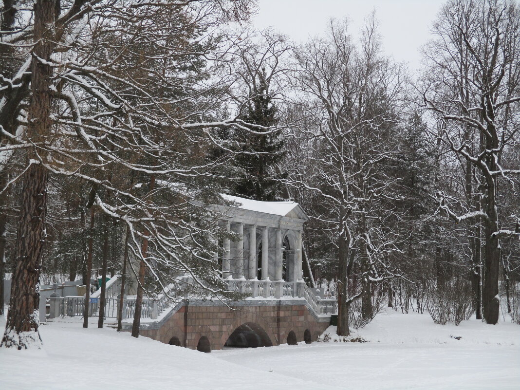 Зимой в Екатерининском парке, Царское село - Татьяна Ф *