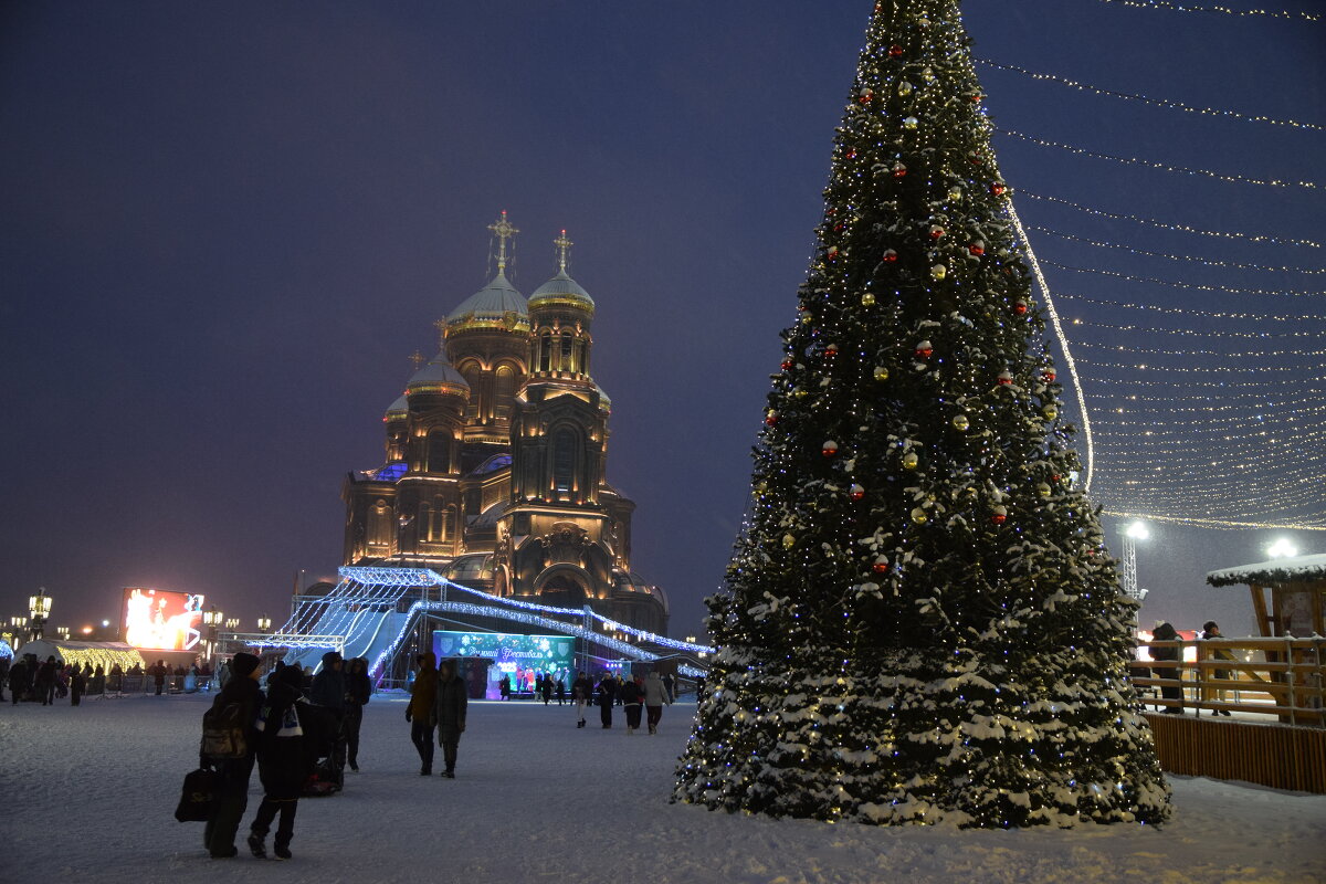 Главная елка ВС - Татьяна 