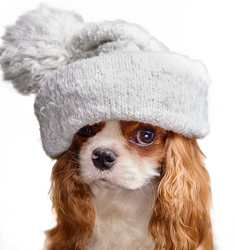 ... - наталья жданюк