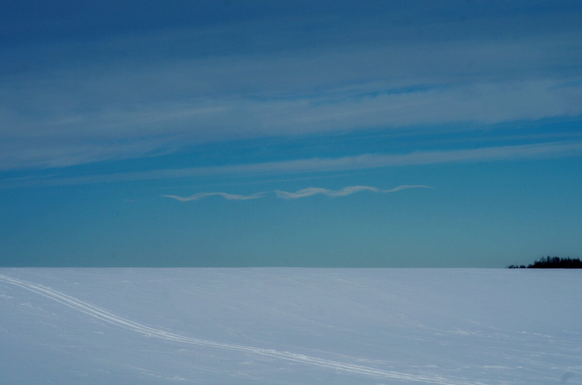 Плывут облака - Сергей Швечков
