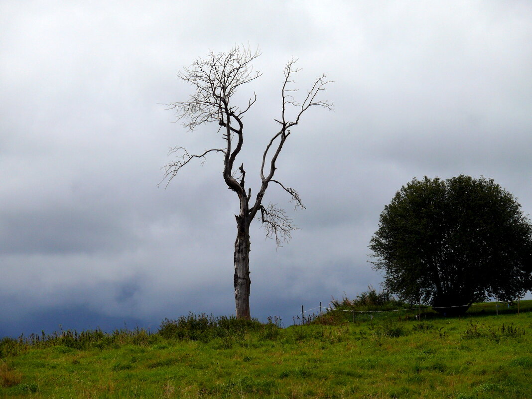 дождливый день - Valentin Orlov