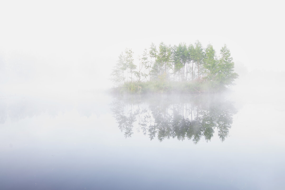 туман - Николай Колобов