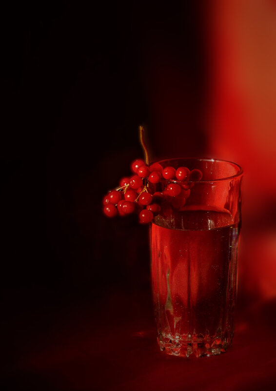 Калина  на  красном - Елена Макарова 