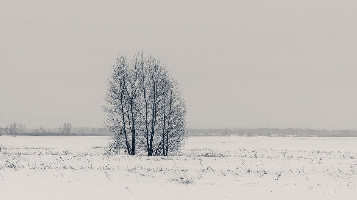 Зима и одиночество. - Вадим Басов