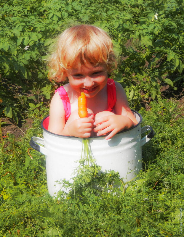 Хорошо сидим))) - Надежда Чернецкая Хорошо сидим))) - Надежда Чернецкая