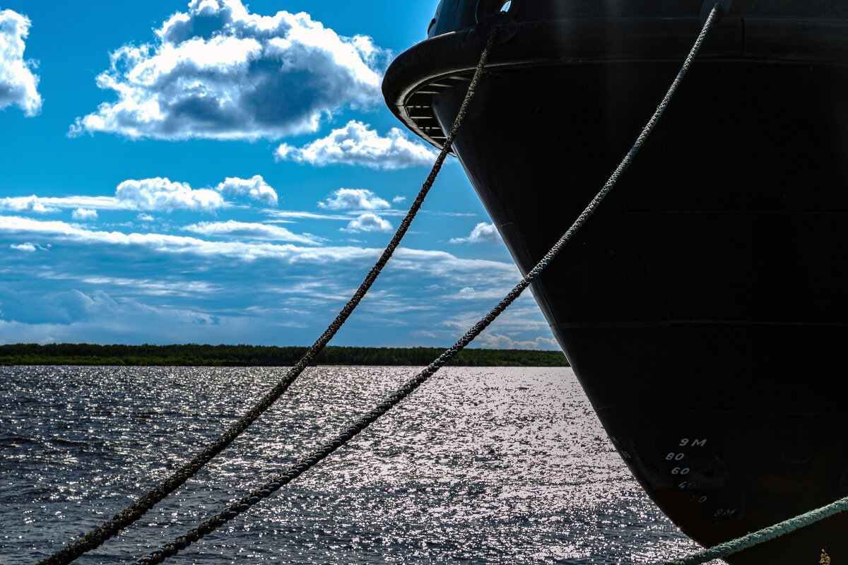 Ледокольный флот - Александр Силинский