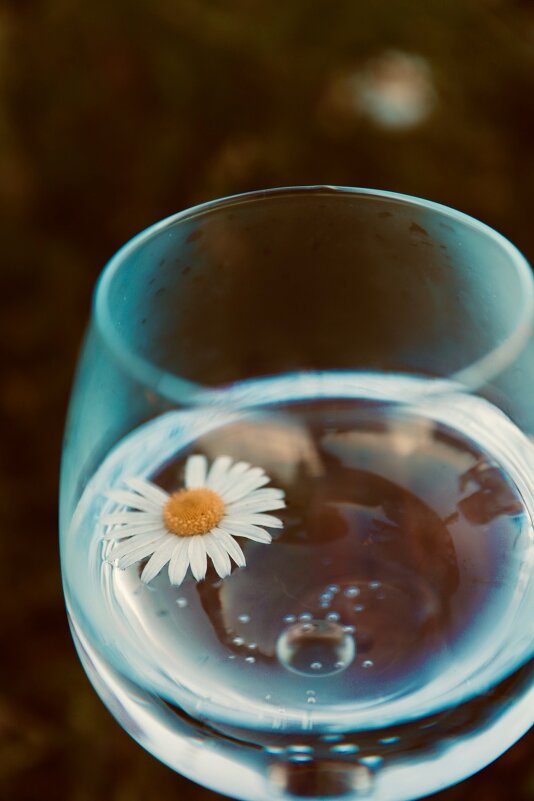 ... - Надежда Гусева