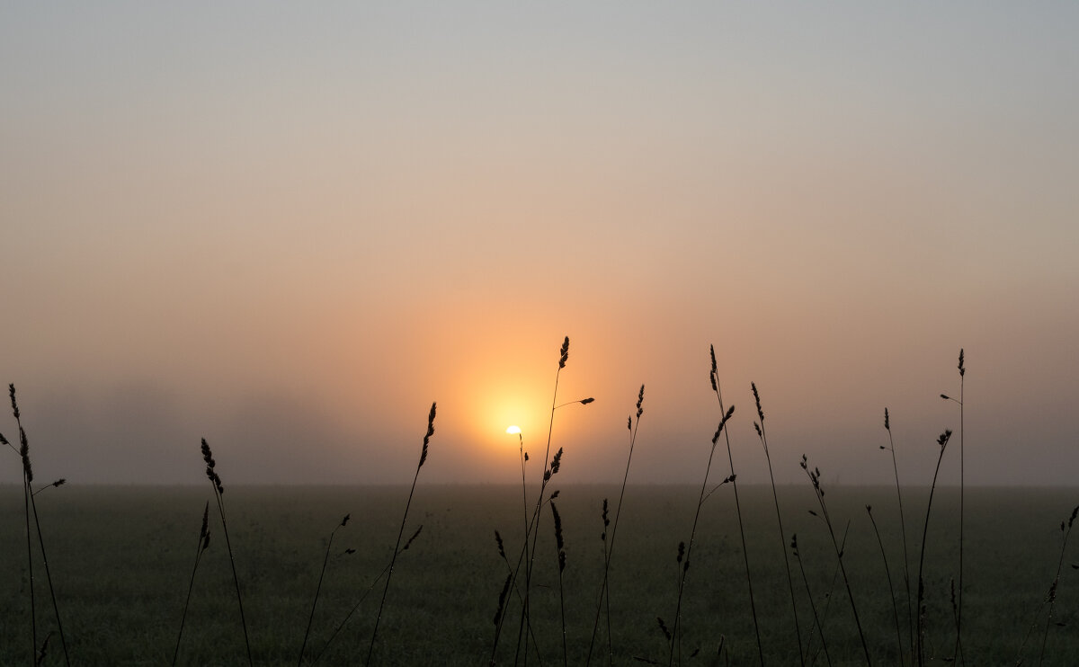Новый день. - Владимир Безбородов