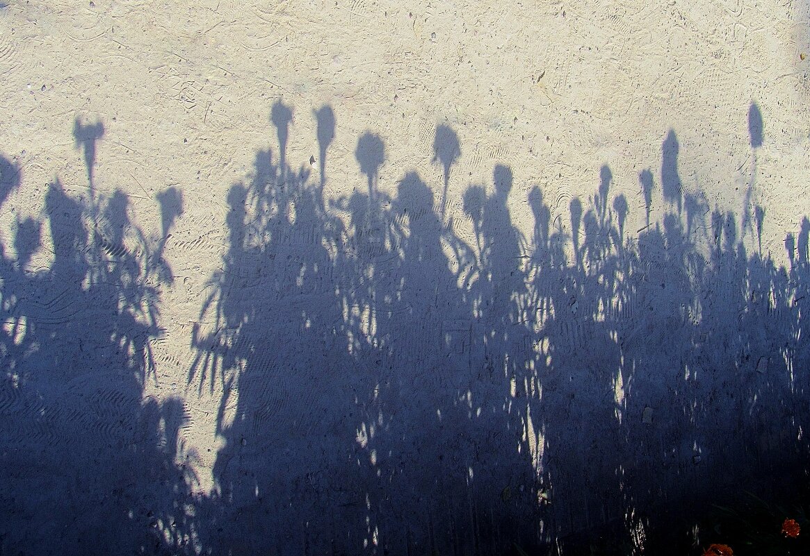 ...средь шумного бала, случайно, тебя я увидел... - galalog galalog ...средь шумного бала, случайно, тебя я увидел... - galalog galalog